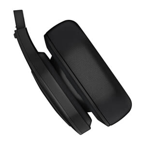 dēzl™ Headset 200 Ear Cup
