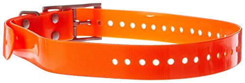 1-inch Collar Strap - Orange