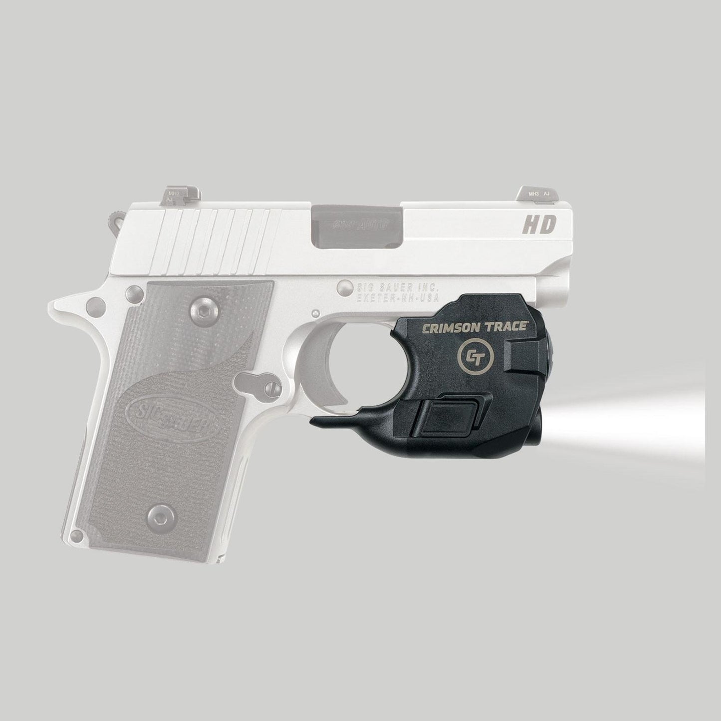 SIG LightGuard P238 & P938