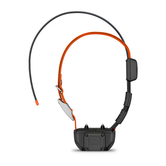 Alpha TT 25 Dog Collar with Tracking Beeper