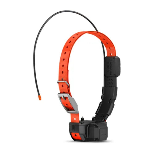 Alpha TT 25 Dog Collar with Tracking Beeper