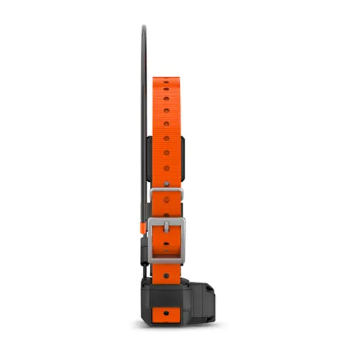 Alpha TT 25 Dog Collar with Tracking Beeper