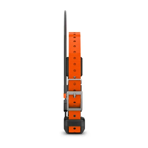 Alpha TT 25 Dog Collar