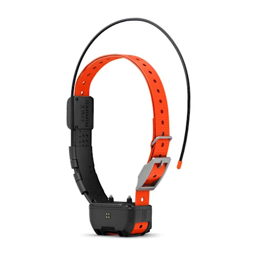 Alpha TT 25 Dog Collar with Tracking Beeper