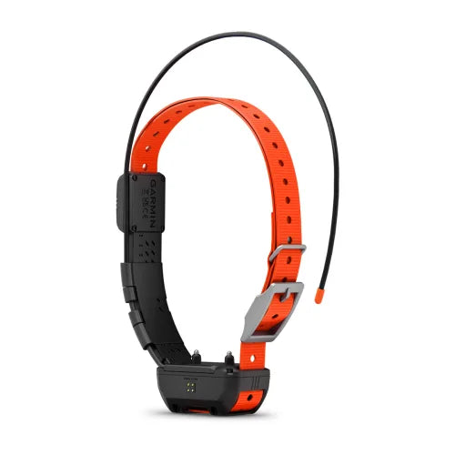 Alpha TT 25 Dog Collar