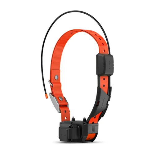 Alpha TT 25 Dog Collar with Tracking Beeper